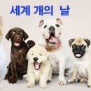 세계 개의 날 이미지