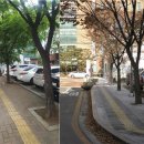 성동구보건소 이미지
