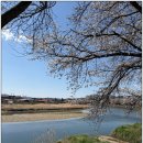 숲속힐링민박 | 공주 풀빌라 펜션 추천, 자연 속 힐링 끝판왕 ‘자유민박’ 솔직후기