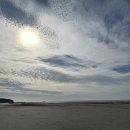 성수행정사사무소 이미지