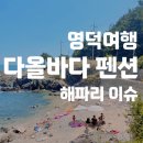 바다어시장 | 영덕 펜션 다올바다 후기 해파리 이슈 / 영덕마트 / 축산항 어시장