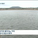 [KBS뉴스9]공항 주변 저수지·습지는 어떻게? 이미지
