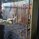 김경태농장 이미지