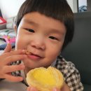 [크렘봉봉] 봉다방 페스츄리 에그타르트 냠냠 후기 ♪