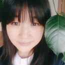 (주)해피나무
