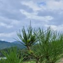 국보농장 이미지