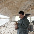 현승오리농장 이미지