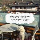 이-스페이스 | 은평한옥마을 애견동반카페 스페이스헬레나 솔직후기