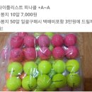 이글엑스 이미지