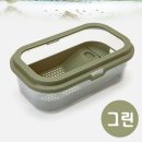 그린터틀 이미지