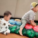 제이브라더스 이미지