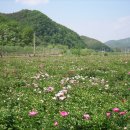 강동종합정비공장 이미지