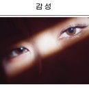 안경과사람들 안경원 네이버블로그