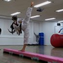 용인대 효태권도장 이미지