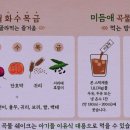 미듬애농장 이미지
