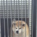 미야비 - 양평군 | 미야비