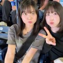 오늘은핫도그 (Today Hotdog) 이미지