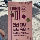 2024 안산 대부도 포도축제 후기(주차,셔틀버스,먹거리)