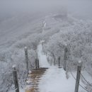 세점길 이미지