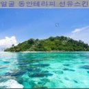 피부정화스킨&바디