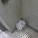 옆집 ㄹㅇ 느개비도 한숨쉴 도덕성 어캄 이미지