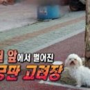 동원건강원