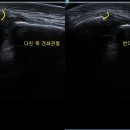 금정경희한의원 이미지