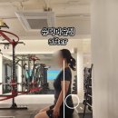 슈퍼머슬짐 이미지