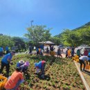 묘도동 주민센터 이미지