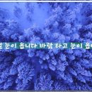 즐거운 노래방 이미지