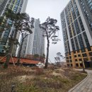 초대박봉담프라이드시티공인중개사사무소 이미지