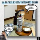 [충주헬스, 충주PT, 충주헬스장] 충주헬스하는 분들, 술 마시고 다음날 운동하세요?