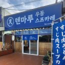 7131 | 제주도 남원 맛집 텐마루: 서귀포 스프카레와 우동이 맛있는 감성 일식당 솔직후기