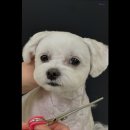 멍글하우스 이미지