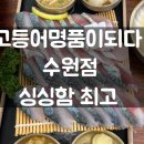 고등어명품이되다 네이버블로그