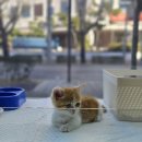 동근농장 이미지