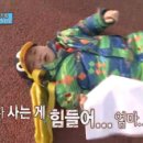 페이버 이미지