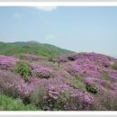 지리산신선둘레길 이미지