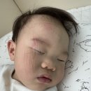 아라마크(주)롯데마트웅상점 | 문센데이) +475일차 15개월아기 아기별오감플레이 못난이인형 / 미역 촉감놀이