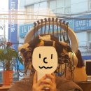 ZIO헤어 이미지