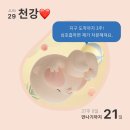 (주)에이스바이오 | [임신일기] 임신후기, 만삭 인생네컷, 임신 38주차, 출산임박, 막달검사, 태동검사, 이슬비침, 진짜 곧...