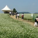 성읍리-27 이미지