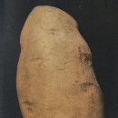 감자 이미지