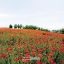 한경대학교부속농장 이미지