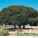 생명과 공존의 숲( 이미지