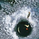 양오낚시터 이미지