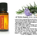 온가드