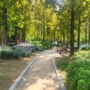 범계역 7번출구(희망공원) 이미지