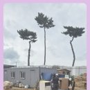 서천상사