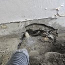 경기도 수원시 영통구 매여울로57번길 이미지